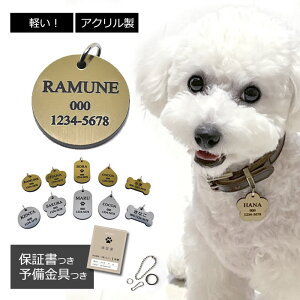 qD y AN y  L  l[^O ybg l[v[g D hbO^O  O dbԍ  ˂ y l[ qh~ {  ق   