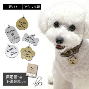 qD y AN y  L  l[^O ybg l[v[g D hbO^O  O dbԍ  ˂ y l[ qh~ {  ق   