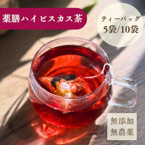 VnCrXJX yȂAn[uŊyށzeB[obO10 5 J XgX YA_AmJtFC  n[ueB[ @ eB[pbN V n