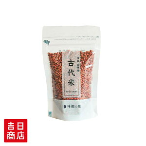 yubNtCf[|Cg5{z _a _ ԕĂp Ñ