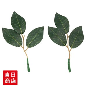 y}\|Cg5{z _I  ԃ_呢 v` (΁jTJL 