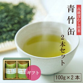 青竹缶2本セット 100g×2本 お茶 緑茶 深蒸し茶 茶葉 静岡茶 日本茶 煎茶 高級煎茶 ギフト 贈り物 慶事御礼 御祝い 法事 香典返し 志 粗供養 返礼品 【送料無料】【静岡茶園】 | 静岡県 おちゃ 特上煎茶 静岡 深蒸し 美味しいお茶 お茶葉 お茶セット