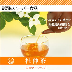 楽天市場 杜仲茶 100g 5g 20個入 国産 杜仲 とちゅう茶 お茶 日本茶 ティーバッグ ティーパック 血圧 コレステロール 健康茶 健康飲料 お試し 話題 送料無料 メール便 静岡茶園 製茶問屋 静岡茶園