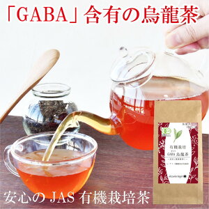 お茶 血圧 健康 健康茶 健康茶 烏龍茶 オーガニック GABA 飲料 血圧 茶葉 JAS有機栽培烏龍茶GABA茶 烏龍茶 国産 ウーロン茶 GABA茶 ギャバ茶リーフ 100g JAS 静岡産100% 国産 静岡茶 お茶っ葉 有機JAS ga
