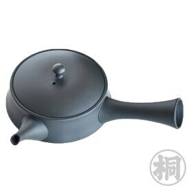 お茶 平型急須 黒(緑泥) 200ml 常滑焼 ふたがぴったり お茶の葉桐 使いやすい急須 おしゃれ手になじむ お茶がおいしく入るプロ愛用急須 とこなめ焼 急須 セラメッシュ茶こしも陶器 食器 一体型 【送料無料】