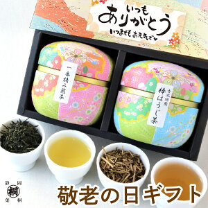  Mtg v[g  Mtg MtgwÉMtg q2Zbgx50g _ق25g 킢ʓ LO Ԃ oYj TԂ ~ u Cj 