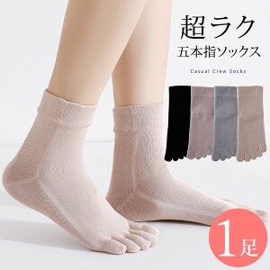 ܖ{w\bNX VN 1 C 22cm`25cm fB[X \100%  \bNX n Rbg JWA 22 23 24 25 ʔN 