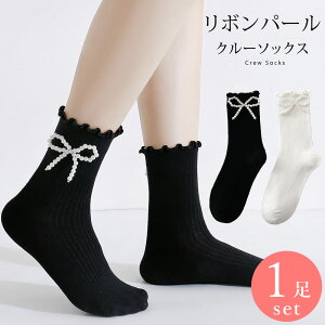 {p[ C 1 Zbg 23cm`25cm fB[X N[\bNX \100  ubN  zCg 23 24 25 ʔN 