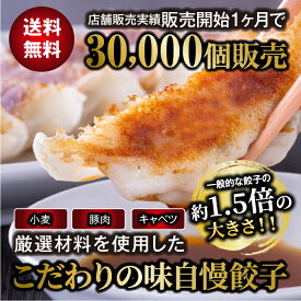 【販売実績3万個!!】こだわりの味自慢肉餃子 15個入り 3パック 375g 少し 大きめ 未加熱 冷凍生餃子 冷凍 肉の旨味 野菜の旨味 ボリュームのある餃子 ぎょうざ ギョウザ ギフト 贈り物 送料無料 06829039901300 SS545 SS060