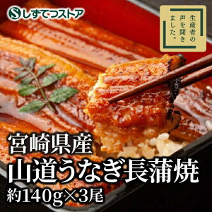 y{茧Yz RȂĂi140g×3j Mtg v[g  Y 񂹃O yp̉N̓ EiM V  O v[g p 6816120300241 SSR02 SS520 SS054