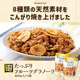 8種類の天然素材が織りなす ザクザク食感 ! 選味鮮価 たっぷりフルーツグラノーラ 400g 2袋セット カシューナッツ クランベリー レーズン バナナチップ ひまわりの種 かぼちゃの種 はちみつ オーツ麦 朝食 朝ごはん おすすめ