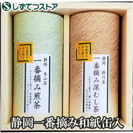 静岡一番摘み200g和紙缶入セット(200g×2本） 日本茶 緑茶 深蒸し煎茶 浅蒸し煎茶 茶葉 静岡 送料無料 ギフト プレゼント 贈答用 SSR62　SS057