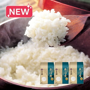 yz~Mtg gy ቷ@XnYЂ3kg Ε Mtg v[g 4530316211860 SS103