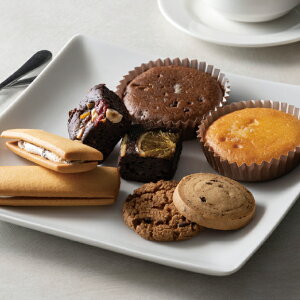 yz~Mtg zeI[N XC[cMtg13 Ε Mtg v[g 4542511352866 SS141