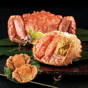 yz~Mtg kCY {Cт(2t) Ε Mtg v[g 4549348500323 SS_0301