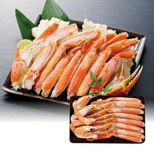 yz~Mtg {C킢Ƀn[t|[V(800g) Ε Mtg v[g 4549348500507 SS_1302