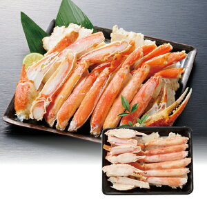 yz~Mtg {C킢Ƀn[t|[V(600g) Ε Mtg v[g 4549348500514 SS_1303