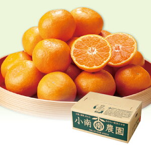 yz~Mtg a̎RY _ iX̗Lc݂A Ε Mtg v[g 4549348501290 SS_2501