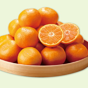 yz~Mtg a̎RY _ iX̗Lc݂B Ε Mtg v[g 4549348501306 SS_2502