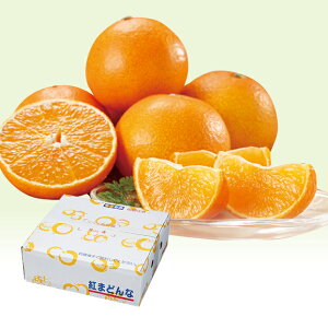 yz~Mtg QY g܂ǂ Ε Mtg v[g 4549348527085 SS_2505