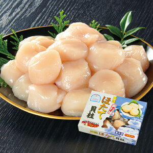 yz~Mtg JlCoY Iz[cNY ⓀVRقĊL Ε Mtg v[g 4549348533499 SS_0302