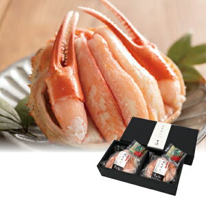 yz~Mtg  }Y ㍁ZKjb(2) Ε Mtg v[g 4549348533635 SS_1304