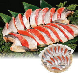 yz~Mtg kC ቷngpؐg Ε Mtg v[g 4549348533697 SS_1402