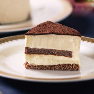 yz~Mtg  ܓ xM[`R[geB~X Ε Mtg v[g 4549348538999 SS_0304