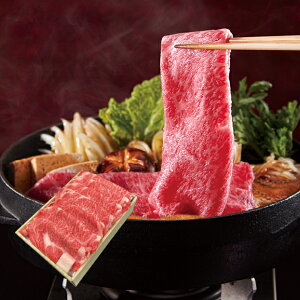 yz~Mtg s^ јaĂp(600g) Ε Mtg v[g 4549348539095 SS_0901