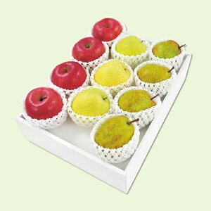 yz~Mtg tXETӂEуZbg Ε Mtg v[g 4549348539224 SS_2605