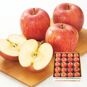 yz~Mtg R`Y Tӂ(5kg) Ε Mtg v[g 4549348540930 SS_2602