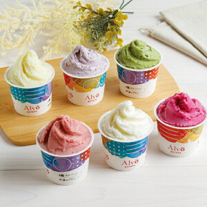 yz~Mtg ʂv BWF[g6RZbg GL|61 Ε Mtg v[g 4560340469043 SS122