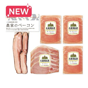 yz~Mtg Dyoion _Ƃ̃x[RoGeBZbg050B002B Ε Mtg v[g 4979250157832 SS034