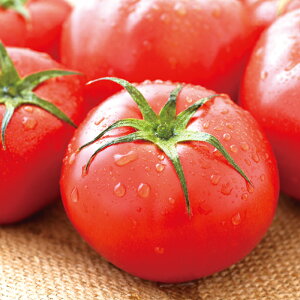 yz~Mtg ynYvzÉY A[g}g Ε Mtg v[g 6811800100012 SS111