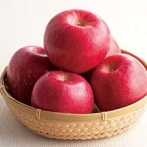 yz~Mtg XY Tӂ Ε Mtg v[g 6812801000011 SS113