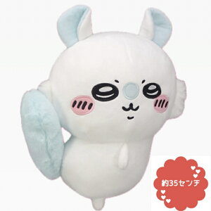 yKzӂӂBIGʂ݁`K` 35Z`  ʂ n` ܂񂶂イ  K LN^[  CeA 3980~ȏwő