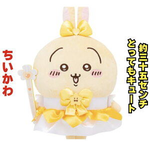 yz܂邿BIGʂ 35Z`  ʂ n` ܂񂶂イ  K LN^[  CeA 3980~ȏwő Ƃ̑g