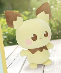 ys`[z|Ps[X ӂƂʂ݁`s`[` |Pʂ XJ[bg oCIbg  |P ͂߂Ẵv[g 19Z` łꏏ  w ct 