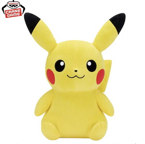 ysJ`Ez|PbgX^[ ߂ӂƂʂ sJ`E |Pʂ XJ[bg oCIbg 3980~ȏwő |P ͂߂Ẵv[g 27Z` rb