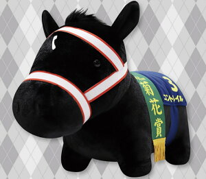 yRgCzTubhRNV ӂӂ BIG ʂ fAO^Ng RgC OAOA n n _[r[ ʂ JRA n S[hVbv Tu