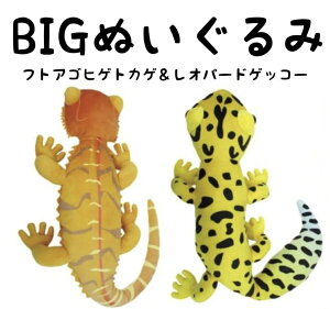 レオパードゲッコー・フトアゴヒゲトカゲ BIGぬいぐるみ 爬虫類 とかげ ヤモリ かわいい おもちゃ 景品 子供