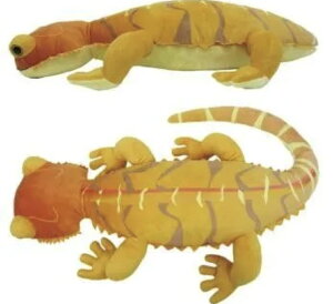 Ip[hQbR[EtgASqQgJQ@BIGʂ ঒ Ƃ  킢  ii q