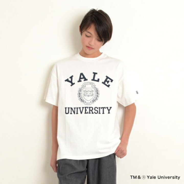 楽天市場】グラソス(GLAZOS)【YALE】コットン・半袖カレッジプリントT