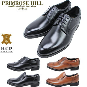 23OFF v[Yq h Y amC { {v rWlXV[Y PH501 PH502 PH503 ubN uE 3E Ch L made in japan ʋC tH[}   PRIMROSE HILL LONDON 