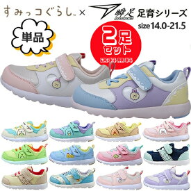 2足セットで7920円 すみっコぐらし 靴 スニーカー シューズ 250 256 259 瞬足 アキレス 通園 通学 しろくま ねこ とかげ ぺんぎん 【子供・キッズ】