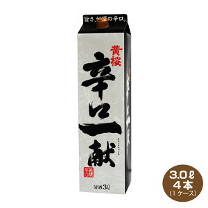 yz hꌣ 3.0L×4{ pbN 1P[X h  { 3000ml