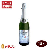 【送料無料】シャメイ ノンアルコールスパークリング アップルジュース 750ml×12本