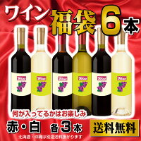 【送料無料】訳ありおまかせいろいろワイン福袋赤ワイン白ワイン計6本アウトレットワインセット飲み比べ