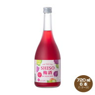 【送料無料】鍛高譚 SHISO梅酒 しそ梅酒 たんたかたん 720ml×6本 12% 1ケース 合同酒精 鍛高譚の梅酒