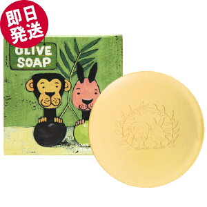 y|Cg5{Iz AbgI[u I[u\[v 100g ig΂j V} I[uIC Ԃ q ێ F  Ό